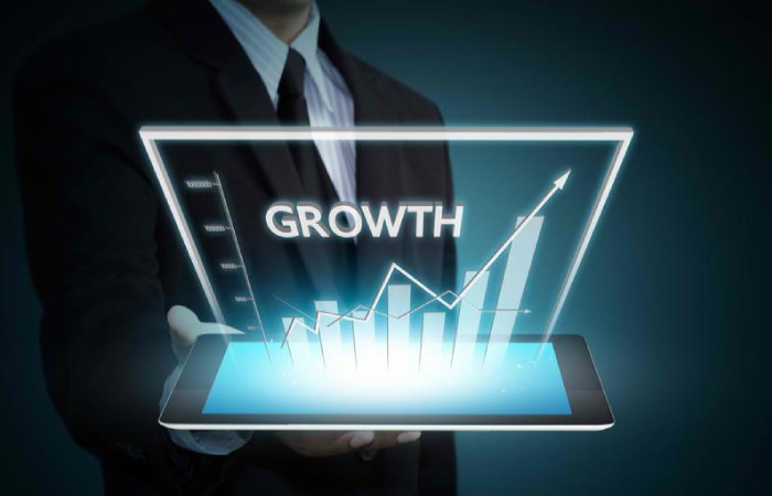 business growth