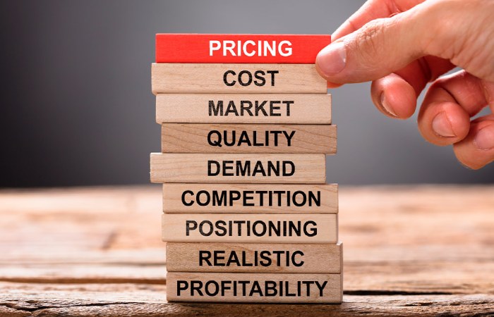 Pricing Strategy