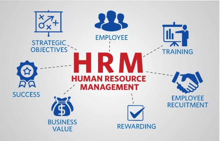 Why Human Resource Management is Important in Business