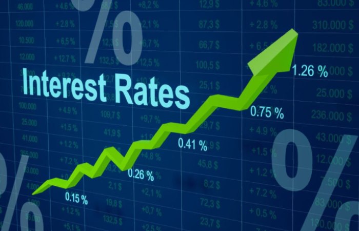What is Savings Account Interest_